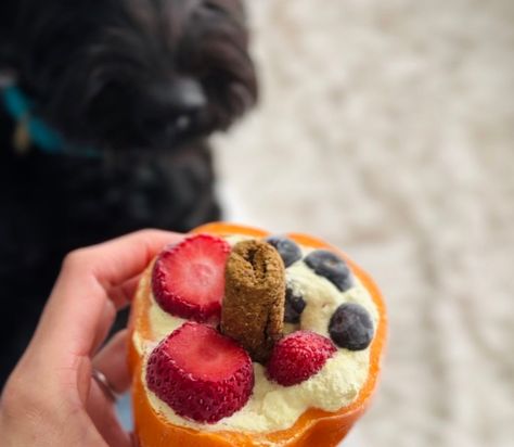 Bell Pepper Dog Treats, Diy Frozen Dog Lick Bowl, Food Enrichment For Dogs, Frozen Enrichment Bowls For Dogs, Dog Enrichment Treats, Frozen Enrichment Treats For Dogs, Lick Bowl Recipe For Dogs, Frozen Dog Enrichment Bowls, Dog Enrichment Bowls