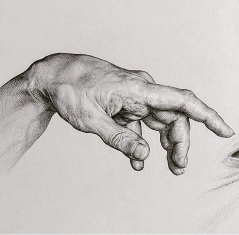 Hands Pencil Drawing, Drawing Hands, Human Anatomy Drawing, Hand Drawing Reference, Human Anatomy Art, White Drawing, 3d Drawings, Anatomy Drawing, Pencil Art Drawings