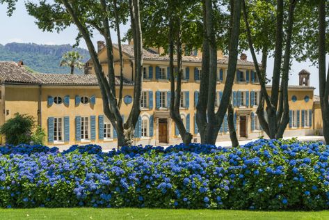 Chateau d’Esclans, Whispering Angel, and the Craze for Rosé Wines Southern Architecture, Whispering Angel, Tuscan Villa, Mediterranean Coast, Cypress Trees, Sculpture Park, Provence France, Cote D’azur, Wine Tour