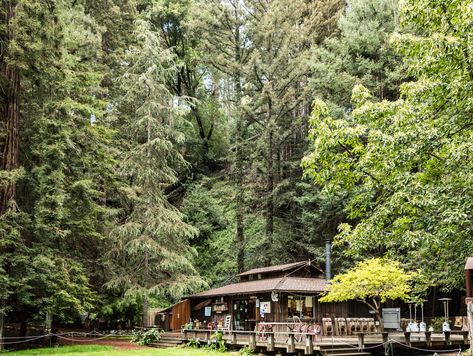 Big Sur Wedding Venues, Henry Miller Library, Reasons To Get Married, Big Sur Elopement, Big Sur Wedding, Library Wedding, Big Sur California, Beautiful Hikes, Henry Miller