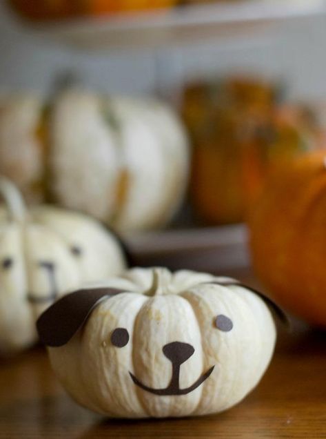 Click through to see how I made my easy DIY puppy and kitty mini pumpkins for Halloween fun | Halloween decorating ideas | Jack-o-lantern alternatives | SatsumaDesigns.com #halloween #jackolantern Mini Pumpkin Decorating Ideas, Frenchie Pumpkin, Puppy Pumpkin, Easy Pumpkin Carving Ideas, Decorated Pumpkin, Pumkin Decoration, Lanterns Diy, Halloween Jackolantern, Fall Cat