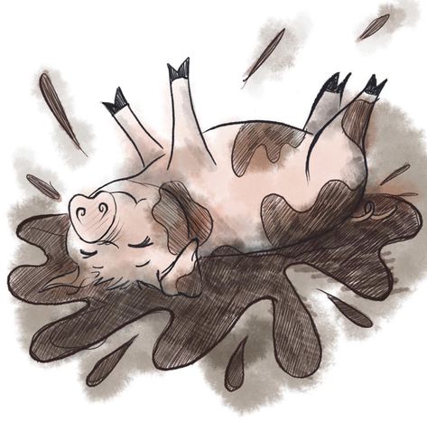 Simple Pig Painting, Pig In Mud Drawing, Pig Sketch Easy, Pig Sketches, Pig Drawing Simple, Mud Drawing, Cute Pig Drawing, Pig Doodle, Pig Drawing Easy