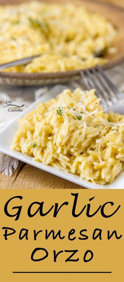 Garlic Parmesan Pasta is so good. Creamy and delicious. Easy to make #parmesan #pasta #garlic #comfortfood Garlic Parmesan Orzo, Garlic Dipping Oil, Pasta Garlic, Parmesan Orzo, Garlic Parmesan Pasta, Dipping Oil, Orzo Recipes, Garlic Oil, Parmesan Pasta