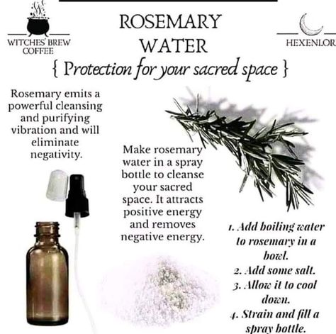 Rosemary Water, Water Witch, Cleansing Spray, Witch Spirituality, Magic Herbs, Kitchen Witchery, Magical Herbs, Eclectic Witch, Witchcraft Spell Books