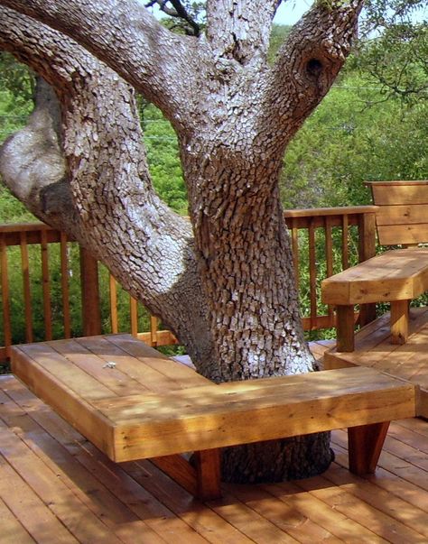 Seating around tree Deck Around Trees, Neighborhood Entrance, Bench Around Trees, Ideas Para Decorar Jardines, Tree Seat, Tree Deck, Landscaping Around House, Landscaping Around Trees, Tree Bench