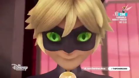 Can we talk about this face... *Caption* when no one notices adrien is cat noir Miraculous Photos, Miraculous Ladybug Cat Noir, Comics Ladybug, Miraculous Memes, Funny Chat, Complicated Love, Miraculous Ladybug Memes, Miraculous Ladybug Wallpaper, Miraculous Ladybug Funny