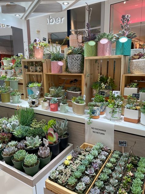 Plant Booth Craft Fairs, Succulent Shop Display, Plant Sale Display Craft Fairs, Succulent Booth Display, Plant Shop Pop Up, Plant Market Display, Farmers Market Plant Stand, Plant Vendor Booth, Plant Market Stall Ideas