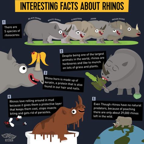 Today is World Rhino Day! So we thought it would be the perfect opportunity to remind you of how awesome rhinos are Rhino Habitat School Project, Life Rhino Quotes, Eleven Stranger Things Drawing, Fantasy Rhino, Rhino Facts, Preschool Behavior, Indian Rhinoceros, Animal Infographic, Nursery Crafts