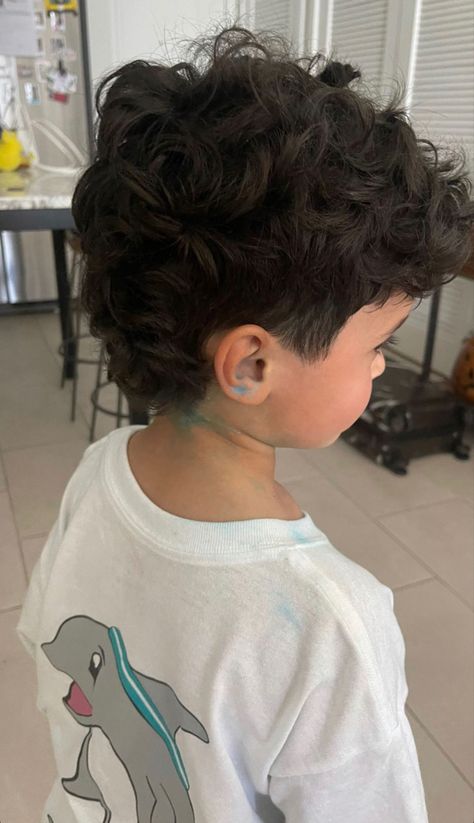 Curly Haired Baby Boy, Little Boys Haircut Curly, Asian Boy Haircuts Kids, Toddler Boy Haircut Mullet, Baby Boy Curly Haircut, Toddler Long Hairstyles Boy, Curly Boys Haircut Kids Mixed, Mixed Kids Hairstyles Boys, Toddler Mullet Boy