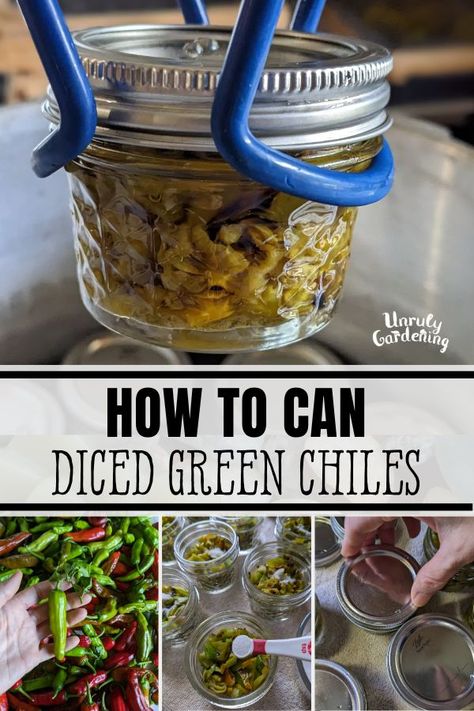 Canning Diced Green Chiles (& Other Peppers) - Unruly Gardening Canning Green Chiles, Canning Green Chilies, What To Do With Green Chili Peppers, How To Can Green Chili Peppers, How To Can Green Chilies, Canned Chili Peppers, Green Chili Canning Recipe, Hatch Chili Canning Recipes, Diced Green Chiles Canning