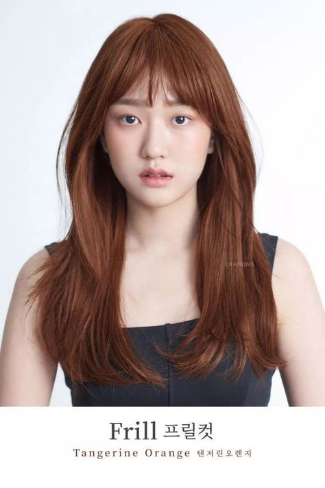 Haircut 2022, Hair Color Asian, Peinados Hair Styles, Korean Hair Color, Brown Hair Looks, Ginger Hair Color, The Cardigans, Asian Short Hair, Dyed Hair Inspiration