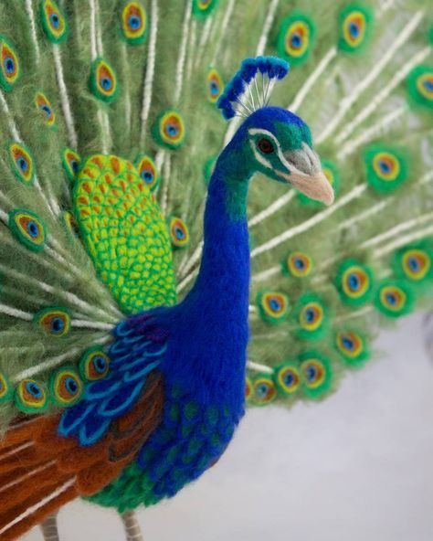 Needle felted Peacock #needlefelting #needlefelt #fiberart #birdart #wool #sculpture #art #peacock #bird #birds Needle Felted Peacock, Felt Peacock, Animal Felting, Felted Birds, Felting Animals, Colorful Peacock, Felt Crafts Christmas, 3d Figures, Needle Felting Tutorials