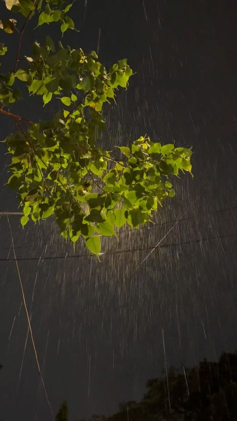 Barish Hd Image, Barish Chai Pics, Nature In Rain, Baarish Aesthetic Pic, Mumbai Rain Night, Barish Snap In Night, Night Baarish Snap, Aesthetic Rain Photos, Mansoon Rain Photography Feelings