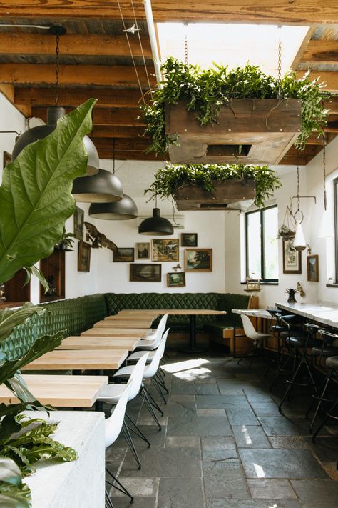 Fern Bar, I Am A Dreamer, Veggie Tacos, Elsie Green, Organic Groceries, Natural Wine, Cafe Shop, Entertainment Room, Farm Table