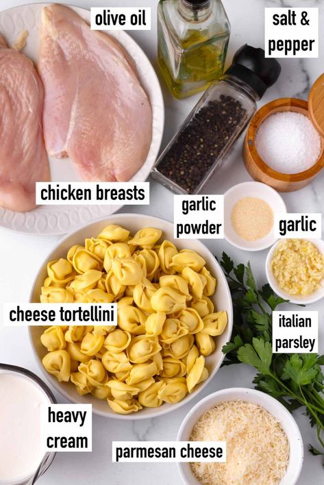 Chicken Tortellini Alfredo! This creamy and comforting chicken tortellini alfredo is the perfect weeknight dinner. It's so incredibly delicious and easy to make. Skillet Chicken Tortellini Alfredo, Garlic Parmesan Tortellini With Chicken And Broccoli, Baked Alfredo Tortellini, Tortellini Recipes With Chicken, Alfredo Tortellini Recipes, Chicken And Tortellini Recipes, Chicken Tortellini Bake, Tuscan Chicken Tortellini, Chicken Tortellini Recipes