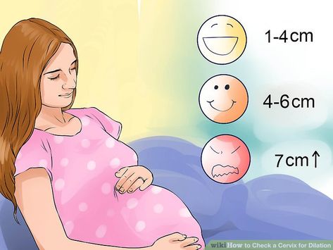 How to Check a Cervix for Dilation: 15 Steps (with Pictures) How To Dilate Cervix Faster Naturally, Cervical Dilation Chart, Cervix Dilation Chart, Dilation Chart, Cervix Dilation, Cervical Dilation, Weekly Pregnancy Photos, Weekly Pregnancy, Preterm Labor