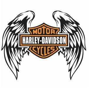 Harley Davidson Stickers, Logo Harley Davidson, Harley Davidson Decals, Logo Wings, Harley Tattoos, Harley Davidson Crafts, Harley Davidson Images, Мотоциклы Harley Davidson, Harley Davidson Tattoos