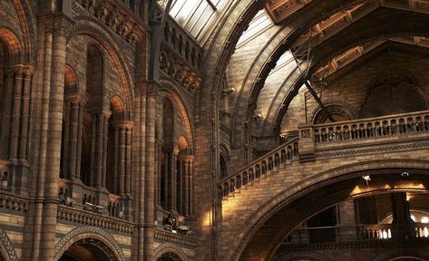 Dark Academia Wallpaper Laptop, Dark Academia Widget, Victorian Era Aesthetic, Natural History Museum London, Dark Academia Wallpaper, Dark Acadamia, Potter Aesthetic, Professor Layton, Gothic Cathedrals