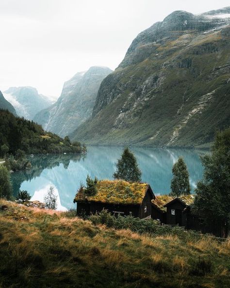 Norway Roadtrip, Norwegian Cabin, Norway Wedding, Norway House, Norwegian House, Grass Roof, Norway Nature, Beautiful Norway, Summer Cabin