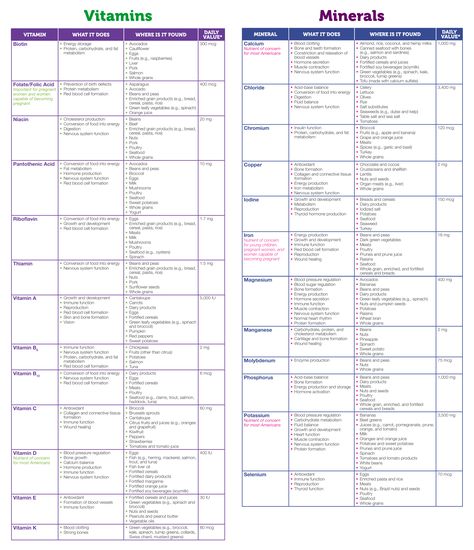 Printable Vitamin And Mineral Interaction Chart Vitamin And Mineral Chart Cheat Sheets, Vitamins Minerals Chart, Vitamin Mineral Chart, Vitamin Benefits Chart, All Vitamins And Minerals Chart, List Of Vitamins And What They Do, Vitamin Food List, Food And Vitamin Chart, Mineral Food Chart