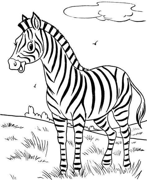 Free Zebra Printables | Free Printable Zebra Coloring Pages For Kids Zebra Coloring Pages, Jungle Coloring Pages, Zebra Cartoon, Zebra Drawing, Zebra Pictures, Zoo Animal Coloring Pages, Animal Templates, Preschool Coloring Pages, Batman Wallpaper