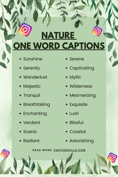 Nature One Word Captions for Instagram Nature Captions Instagram Beautiful, Nature Aesthetic Captions, Caption For Nature Beauty, One Word Captions For Instagram, Word Captions For Instagram, Nature Captions Instagram, Captions For Instagram 2023, One Word Captions, Word Captions