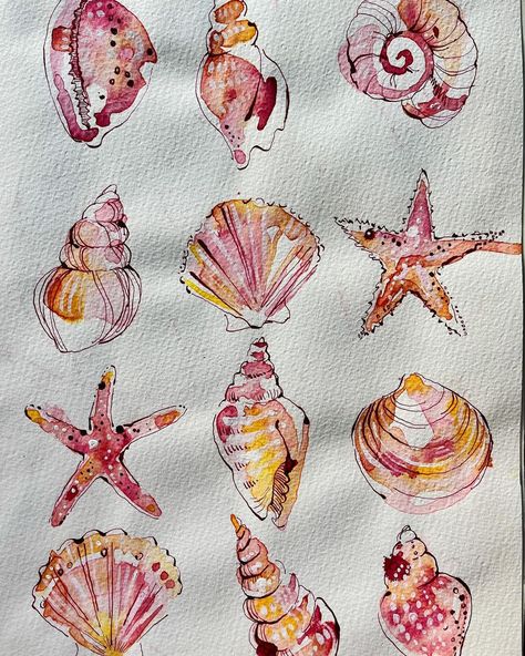 Ohn Mar Win | #throwbackthursday another favourite piece of mine are these sea shells from early 2021. It’s a favourite way of working - loose… | Instagram Ohn Mar Win, Loose Watercolour, Shell Drawing, Moleskine Sketchbook, Seashell Painting, Dorm Art, Diy Watercolor Painting, Watercolour Inspiration, Loose Watercolor