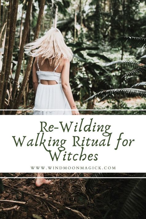 Being a cottage, green, or forest witch and living in a city may seem completely at odds with each other. How are you supposed to dig your feet into the earth when everything has been paved over? Even for those of us in suburban and rural areas, our modern lifestyles may have created a distance between us and our wild, witchy natures. Let’s look at a simple morning ritual to help us re-wild ourselves and our magick, regardless of where we live. Distance Between Us, Nature Spirituality, Witchy Cottage, Moon Magick, Nature Witch, Cottage Witch, Witch Cottage, Forest Witch, Natural Magic