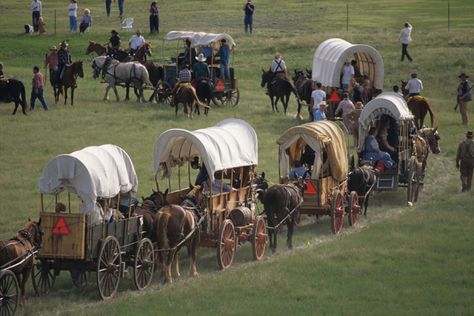 Horse And Wagon, Wagon Trails, Pioneer Trek, Pioneer Day, Day Aesthetic, Wilde Westen, Covered Wagon, Mormon Temple, Church History