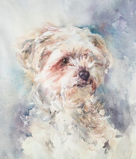 Watercolor White Dog, Dogs In Water, Watercolour Dogs, Yorkie Painting, Dog Watercolour, Cavachon Dog, Painting Dogs, Watercolor Dogs, Dog Watercolor Painting