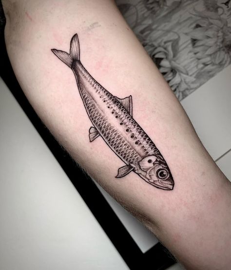 Sardine Tattoo, American Style Tattoo, Tattoo 2022, Tattoos 2023, Trippy Tattoo, Inspo Tattoo, Crab Tattoo, Idea Tattoo, Swedish Fish