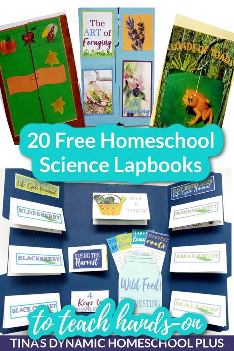 20 Free Homeschool Science Lapbooks to Teach Hands-on. I have 20 free homeschool science lapbooks to teach hands-on. Because homeschool lapbooks are perfect to pair with unit studies, most of the lapbooks include a unit study. So while concentrating on one science topic, a hands-on learner can complete minibooks on each subtopic. Most lapbooks will contain anywhere from 7 to 15 minibooks. Science lapbooks are no different. #freelapbooks #sciencelapbooks #homeschoolscience Bats Unit Study, Science Lapbooks, Homeschool Crafts, Science Topics, Homeschool Encouragement, Homeschool Classroom, Unit Studies, Homeschool Planner, Free Homeschool