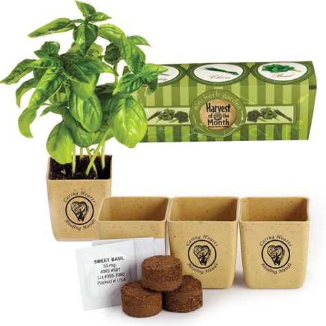 Made from reclaimed organic materials. Each set includes three biodegradable planters, three compressed soil wafers and three seed packets – parsley, basil and chive. Herb Garden Kit, Diy Herb Garden, Trade Show Giveaways, Basil Seeds, Healthy Gift, Custom Planters, Garden Harvest, Garden Kits, Garden Set