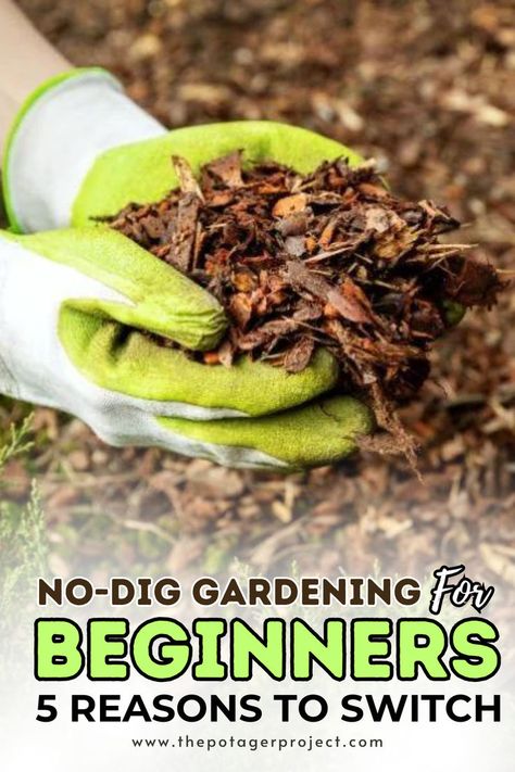 Gardener with green gloves holding a bunch of bark mulch, with small shrubs and plants visible nearby. No Dig Garden, Charles Dowding, Dig Gardens, Farming System, Garden Guide, Gardening Advice, Soil Health, Start Today, Gardening For Beginners