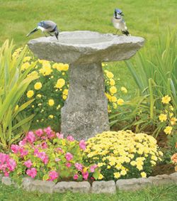 rock birdbath Stone Bird Baths, Planting Pot, Hydrangea Care, Bird Bath Garden, Bird Baths, Beautiful Bird, Backyard Birds, Garden Cottage, Bird Garden