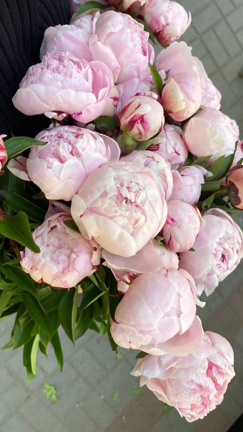 Yard Garden Ideas, Party Diy Decorations, Creation Photo, Flower Gift Ideas, Nothing But Flowers, Peonies Bouquet, Flower Therapy, Beautiful Bouquet Of Flowers, Diy Decorations