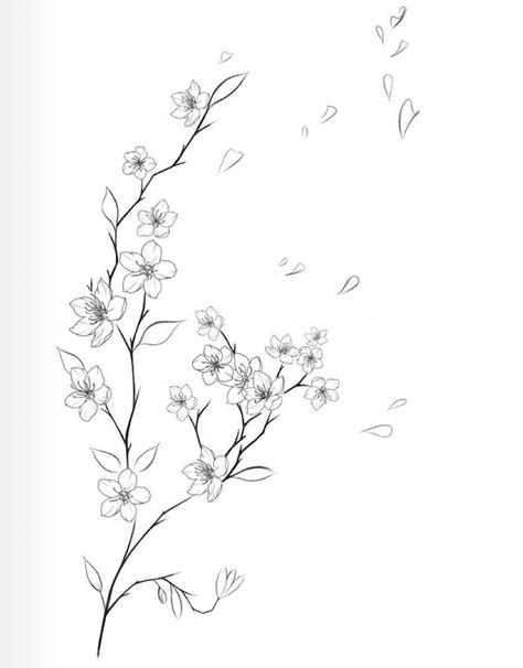 Cherry Blossom Tattoos Black And White, Line Work Cherry Blossom Tattoo, Cherry Blossom Tattoo Stencil Design, Cherry Blossom Tattoo Minimalist Black, Cherry Blossom Tattoo Linework, Tattoo Gap Filler Ideas Women, Cherry Blossom Tattoo Sketch, Cherry Blossom Line Art Tattoo, Vine Tattoo Sketch