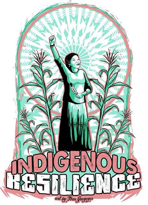 Native American Education, Activism Art, Native Artwork, Native American Wisdom, Native Pride, Indigenous Americans, Indigenous People, Indigenous Culture, Power To The People