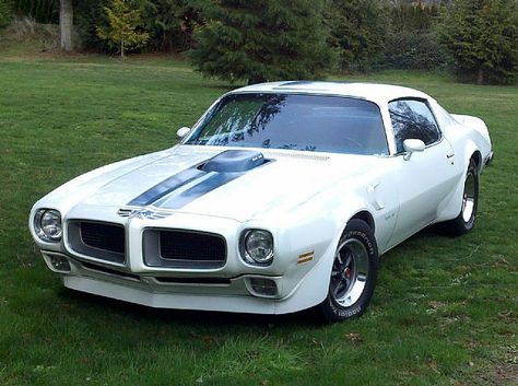 Pontiac 400, Trans Am For Sale, General Motors Cars, Pontiac Trans Am, Pontiac Tempest, Pontiac Firebird Trans Am, Firebird Trans Am, Pony Car, Mode Of Transport