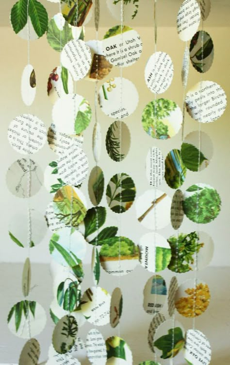 Plants Classroom, Reggio Inspired Classrooms, Nature Party, Reggio Classroom, Preschool Classroom Decor, Theme Nature, Deco Nature, New Classroom, Class Decoration