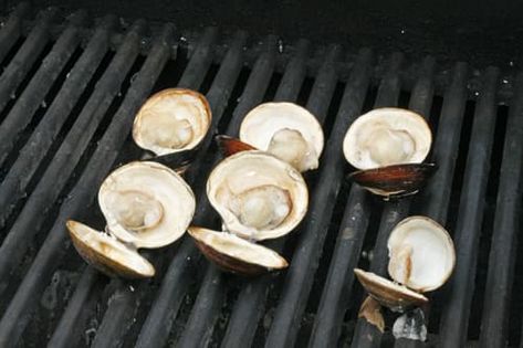 How to Cook Clams on the Grill - Tablespoon.com Clams On The Grill, How To Cook Clams, Steamed Clams Recipe, Grilled Clams, Steamed Clams, Taiwanese Cuisine, Quick Dishes, Clam Recipes, Shellfish Recipes