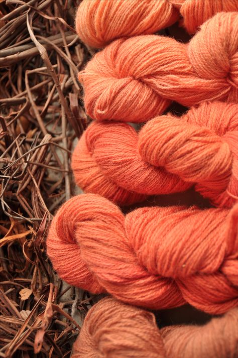 Fingering weight wool dyed with madder roots Secondary Research, Madder Root, Natural Dye, Natural Dyes, Mood Board, Lounge, Dye, Wool, Nature