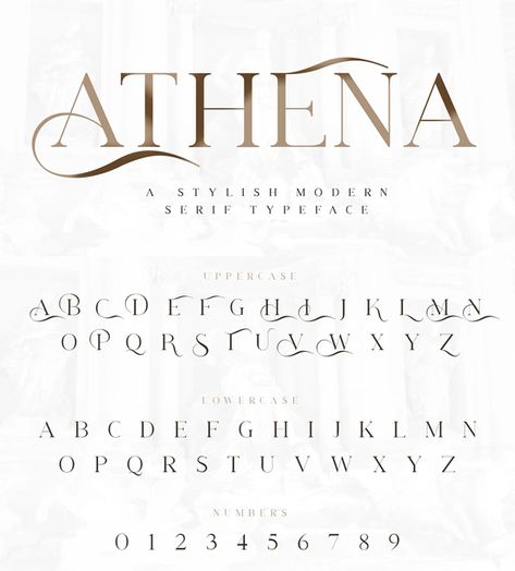 Athena Stylish Modern Serif Font Serif Lettering Alphabet, Elegant Lettering, Logo Fonts Alphabet, Elegant Letters, Decorative Fonts, Serif Fonts Alphabet, Elegant Fonts Alphabet, Ligature Font, Font Calligraphy