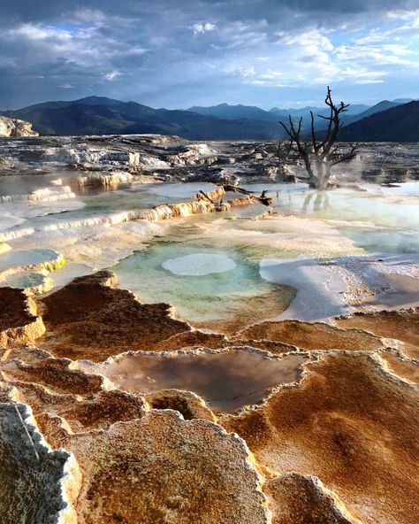 Yellowstone National Park Voyagers National Park, Yellowstone National Park Photography, Yellowstone Photography, National Park Photography, Yellowstone Trip, National Parks Photography, Park Photography, Photography Prints, Yellow Stone