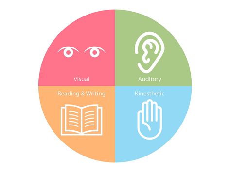 The idea that different students have different learning styles pervades education, but cognitive scientists say there is no evidence learning styles exist. Visual Learning Style, Different Learning Styles, Differentiation In The Classroom, Auditory Learners, Differentiated Learning, American Psychological Association, Visual Learning, Differentiated Instruction, Learning Methods