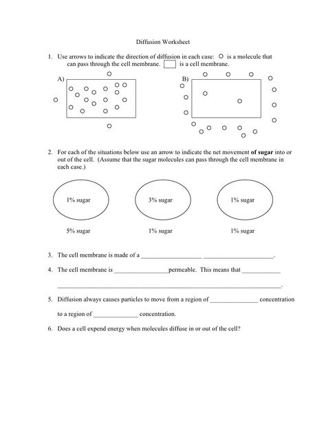 Diffusion student worksheet by kleinkea via slideshare Diffusion And Osmosis, Membran Sel, Cell Transport, Osmosis Jones, Student Worksheet, Cells Worksheet, Solving Quadratic Equations, Word Problem Worksheets, Cell Membrane