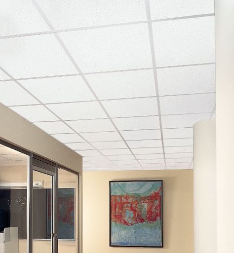 Armstrong School Zone  - Continental Flooring Tile Ceiling, Ceiling Solutions, Armstrong Ceiling, School Zone, Ceiling System, Ceiling Tile, Ceiling Tiles, Break Room, Noise Reduction