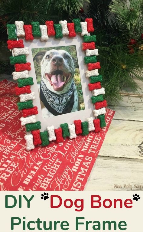 Christmas Gifts For Pets, Dog Frames, Dog Projects, Pet Stains, Dog Christmas Gifts, Dog Crafts, Dog Products, Animal Projects, Diy Dog