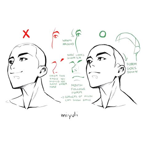 EtheringtonBrothers on Twitter: "Our feature tutorial/artist today is this great set of mini-notes on HEAD ANGLES from BELOW by the talented @miyuliart! Noticing the little differences in the features from this angle will help give your faces FORM and CLEAR DIRECTION! #characterdesign #manga #comicart #arttips… https://t.co/cBHWqX9WrH" Head Angles, Face Angles, 얼굴 드로잉, 얼굴 그리기, Low Angle, Anatomy Drawing, Poses References, Guided Drawing, Anatomy Reference