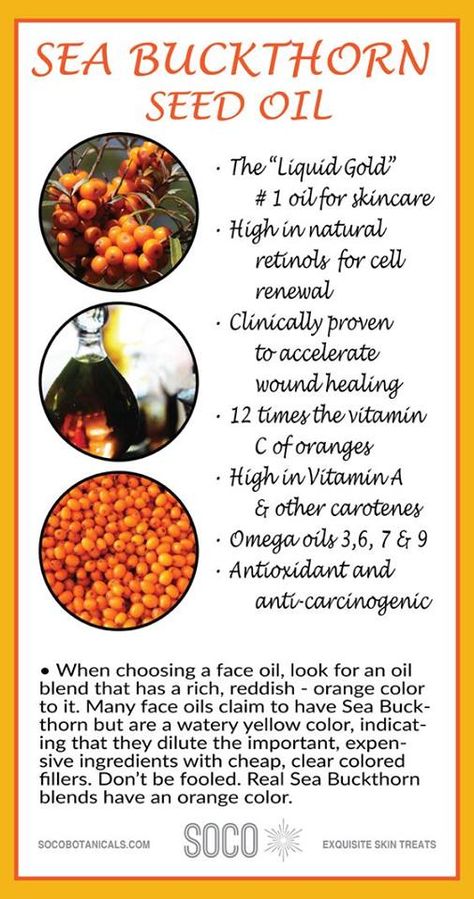 If you are looking for a natural way to moisturize your skin, sea buckthorn oil is the solution! #seabuckthorn #benefits #healthylife #health Neroli Essential Oil, Natural Anti Aging Skin Care, Skincare 101, Coconut Oil Uses, Sea Buckthorn Oil, Anti Aging Food, Essential Oils For Skin, Benefits Of Coconut Oil, Coconut Oil For Skin